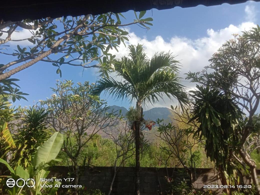 Tirta Bali Homestay Pemuteran Εξωτερικό φωτογραφία
